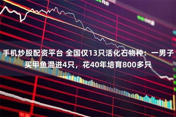 手机炒股配资平台 全国仅13只活化石物种：一男子买甲鱼混进4只，花40年培育800多只